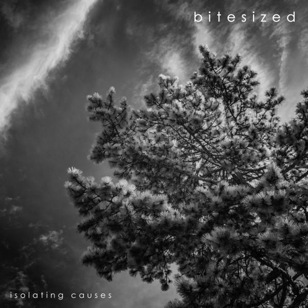 Cover art for Bitesized — Isolating Causes