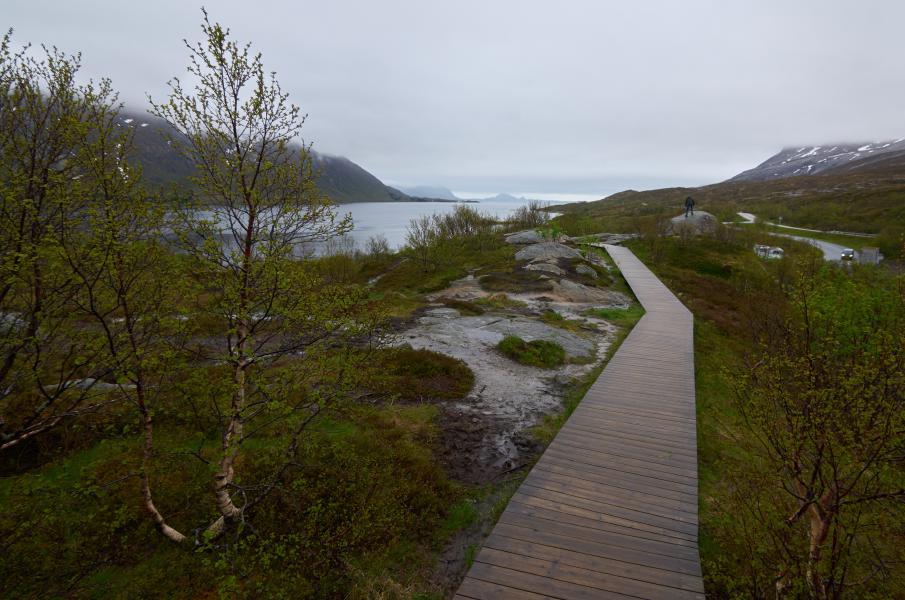 images/002-austnesfjorden_wooden_path.jpg