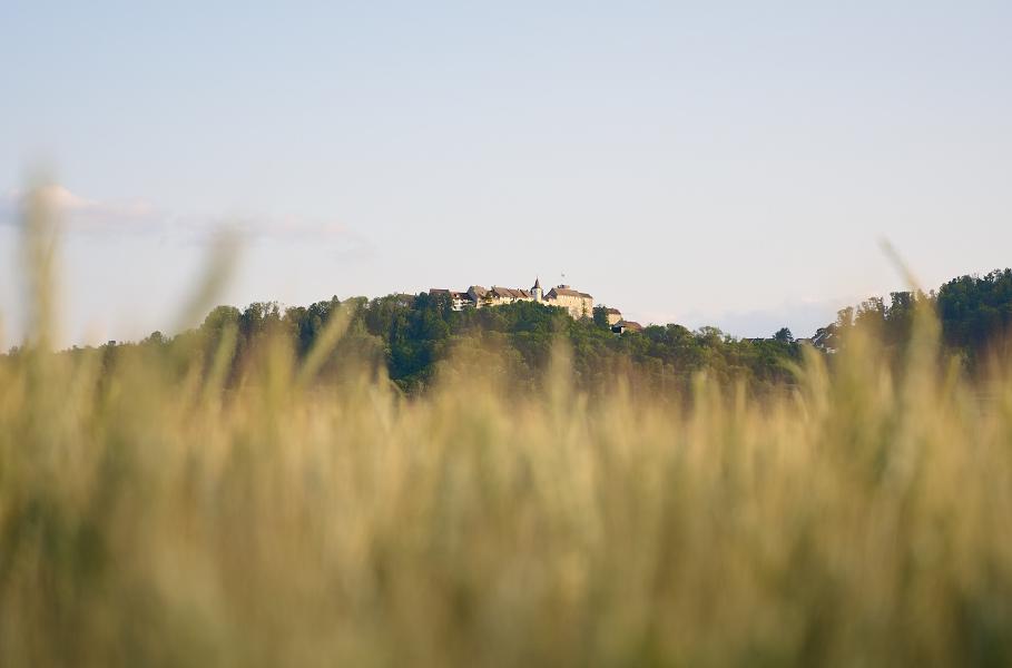 images/25-06-16_regensberg_at_sunset.jpg