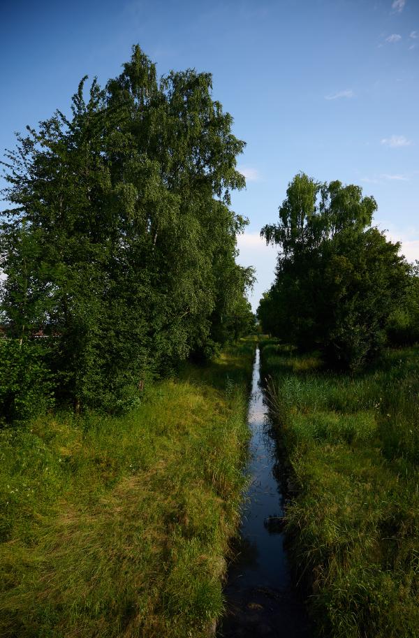 images/25-06-21_creek_between_trees.jpg