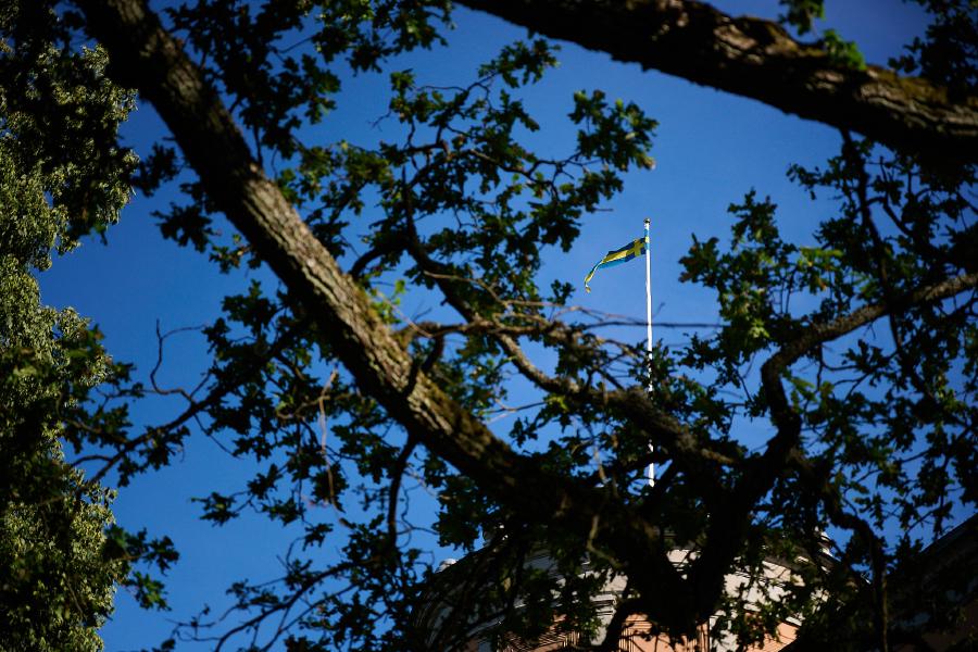images/25-07-01_swedish_flag.jpg