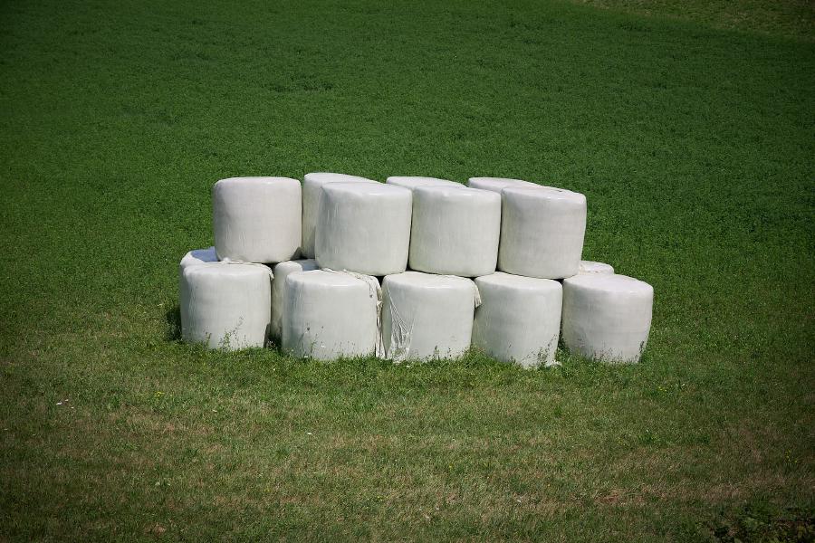 images/25-07-20_hay_cylinders.jpg