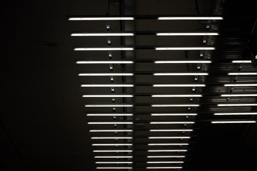 images/25-07-21_zhdk_lights.jpg