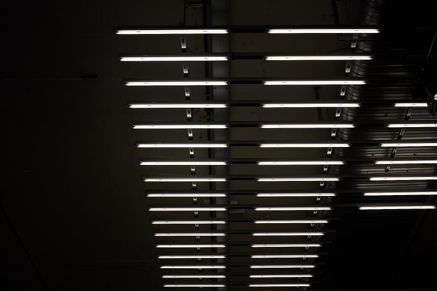 images/25-07-21_zhdk_lights.jpg