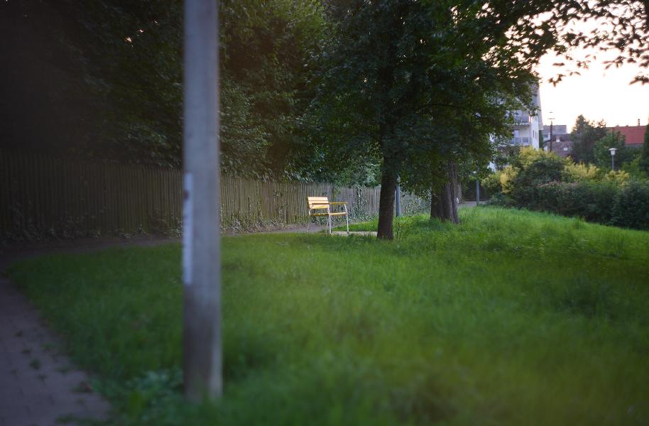 images/25-08-06_bench.jpg