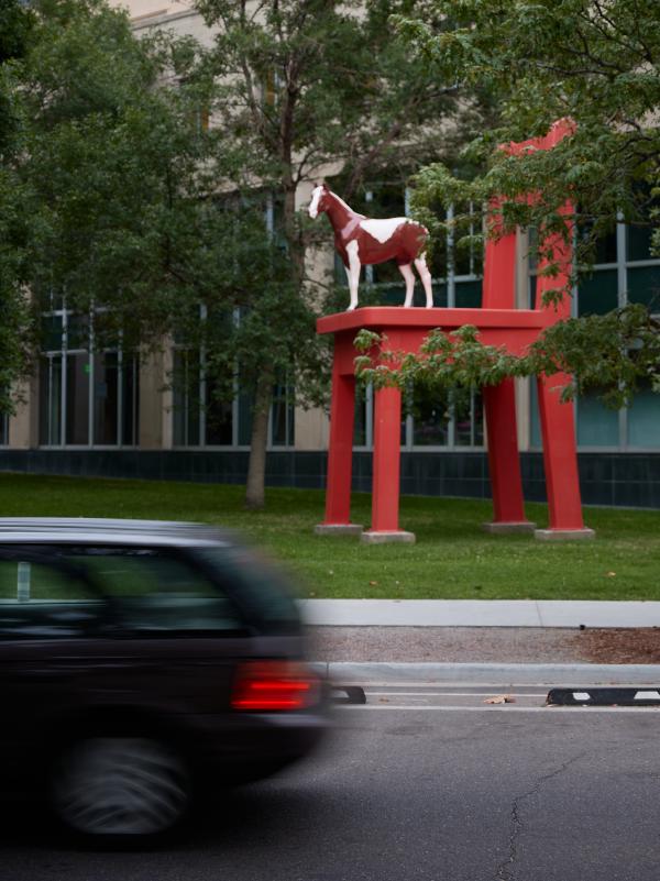 images/25-08-25_the_yearling.jpg