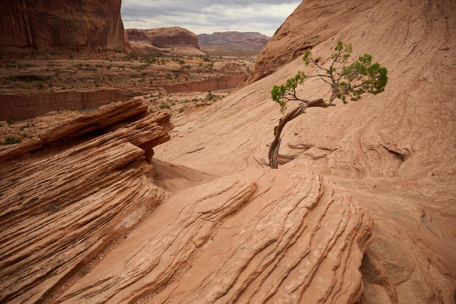 images/25-08-29_path_to_corona_arch.jpg