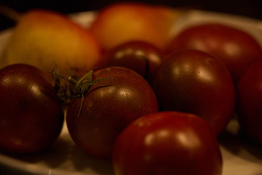 images/25-09-14_tomatoes.jpg