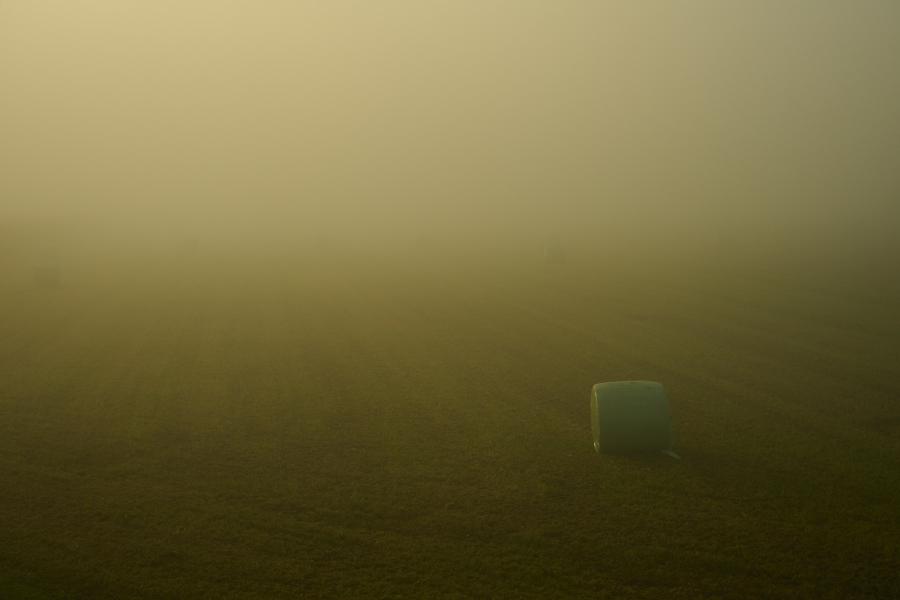 images/25-09-20_hay_cylinder_in_fog.jpg