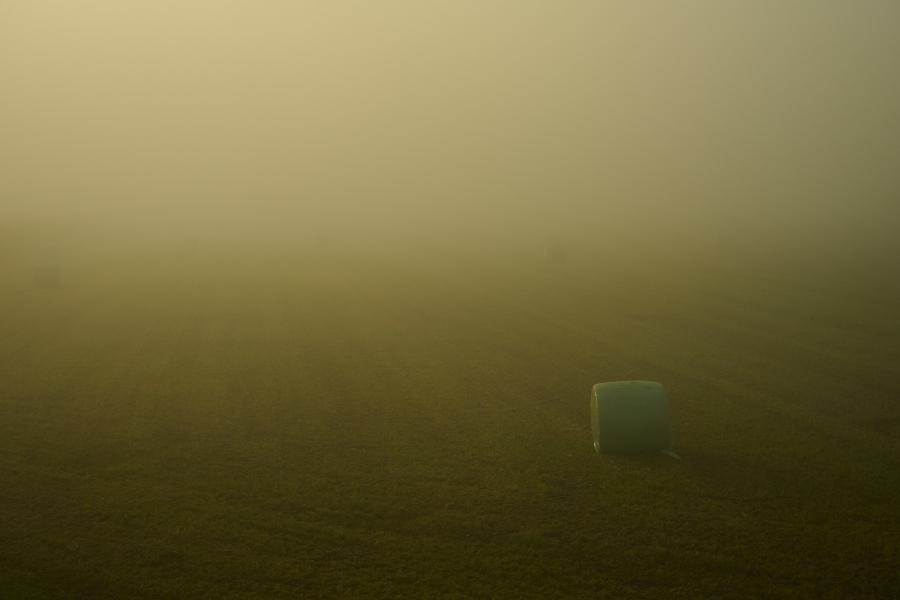images/25-09-20_hay_cylinder_in_fog.jpg