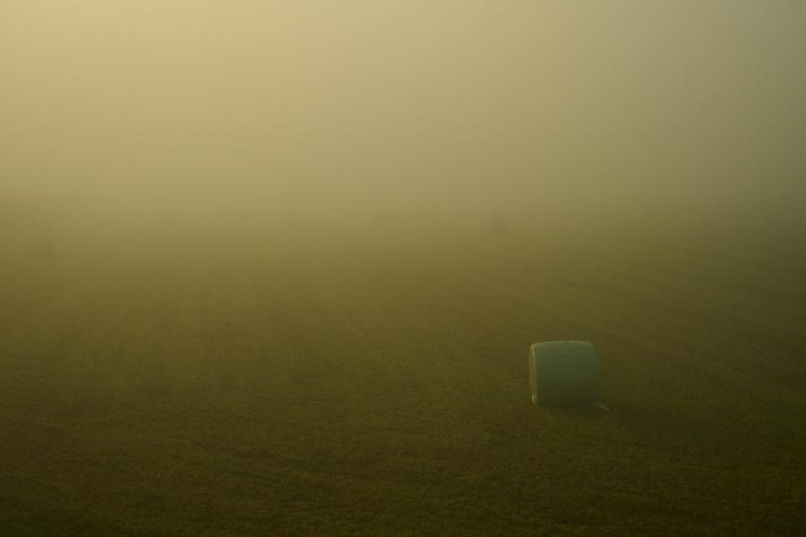 images/25-09-20_hay_cylinder_in_fog.jpg