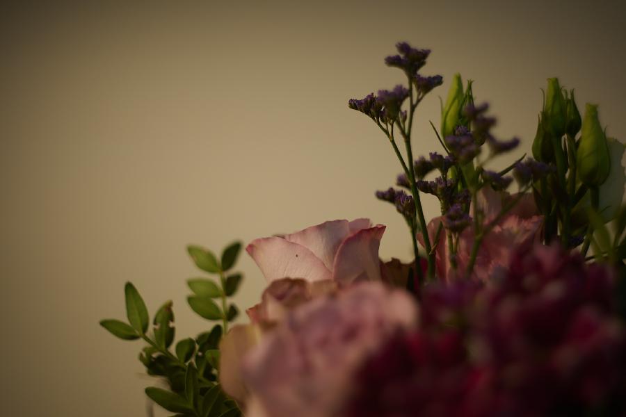 images/25-10-03_flowers.jpg