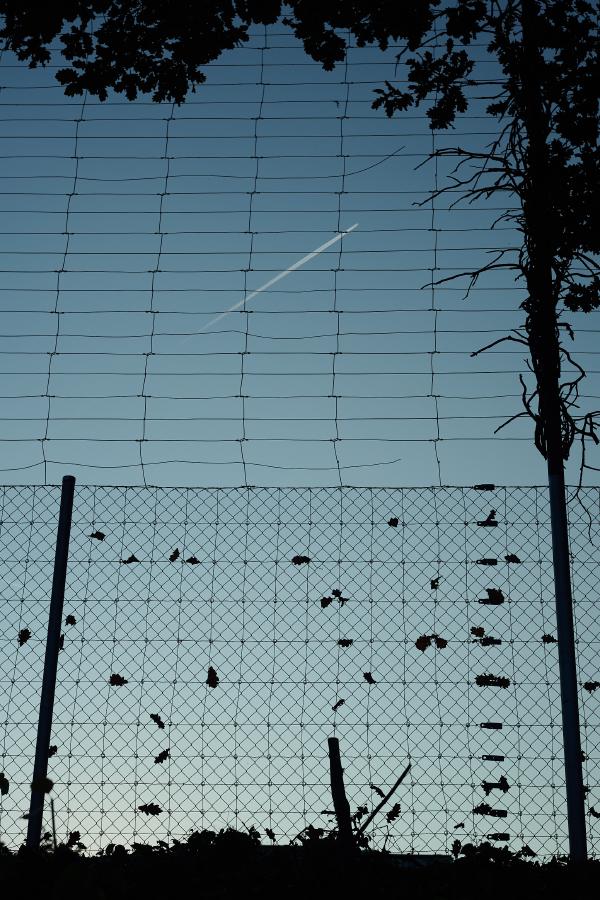 images/25-10-12_plane_at_dusk.jpg