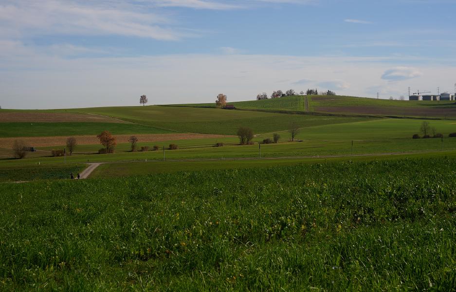 images/25-11-15_hills_with_trees.jpg