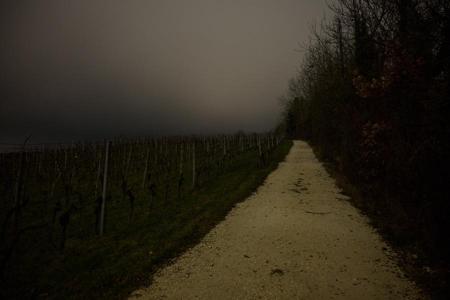images/25-12-25_vinyards_path.jpg