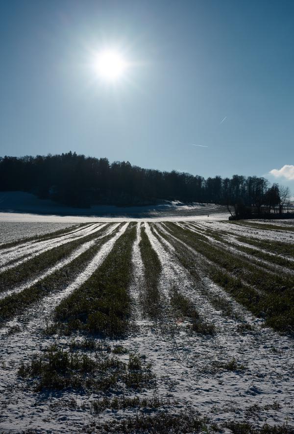images/26-01-04_sunny_winter_day.jpg