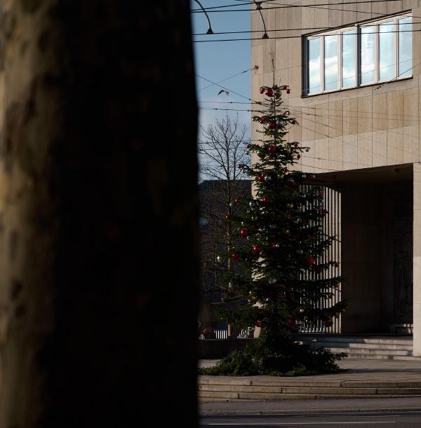 images/26-01-05_christmas_tree.jpg