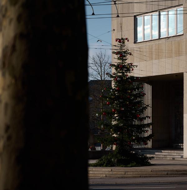 images/26-01-05_christmas_tree.jpg