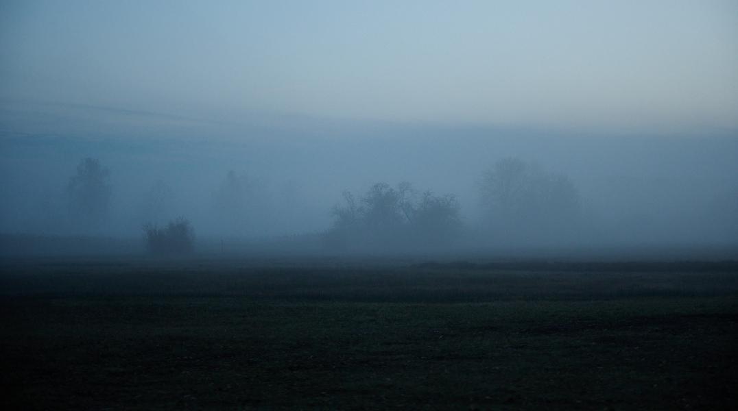 images/26-01-16_foggy_field.jpg