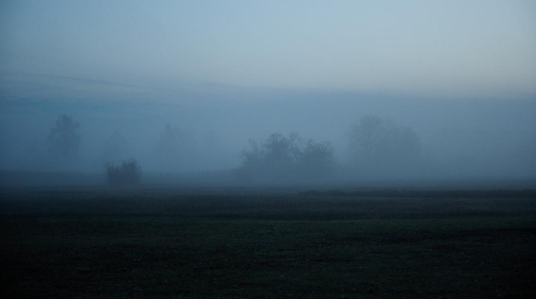 images/26-01-16_foggy_field.jpg