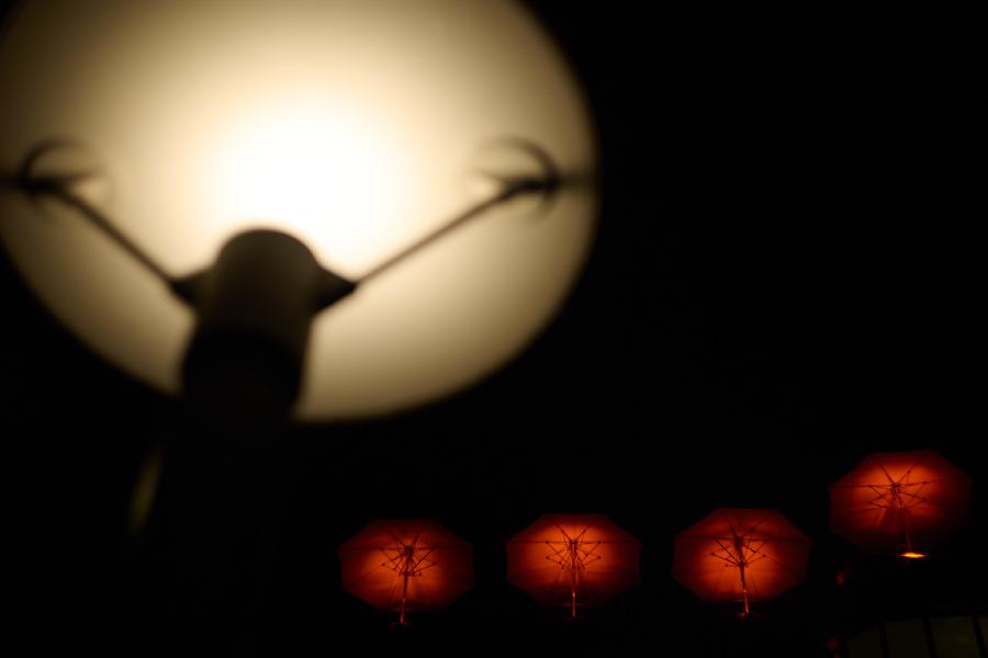 images/26-01-29_light_and_umbrellas.jpg