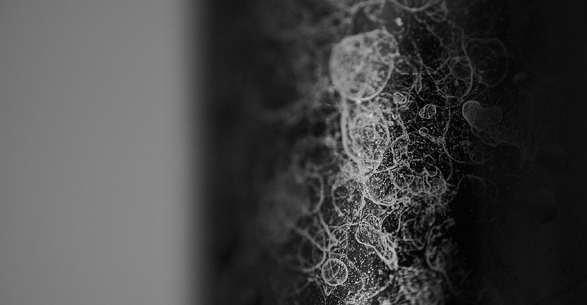 images/26-02-14_limescale.jpg