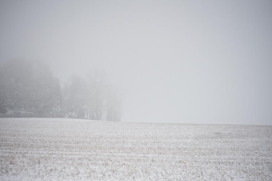 images/26-02-18_snow_storm.jpg