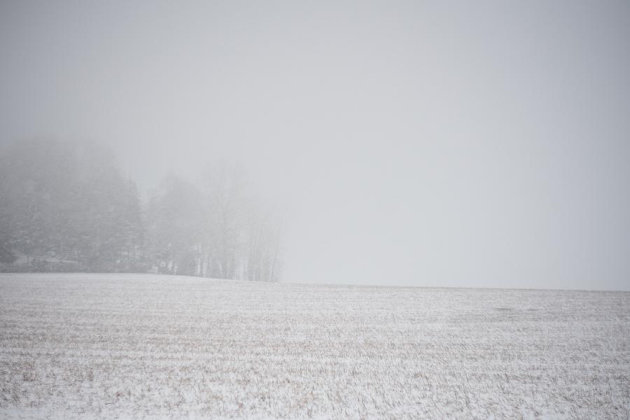 images/26-02-18_snow_storm.jpg