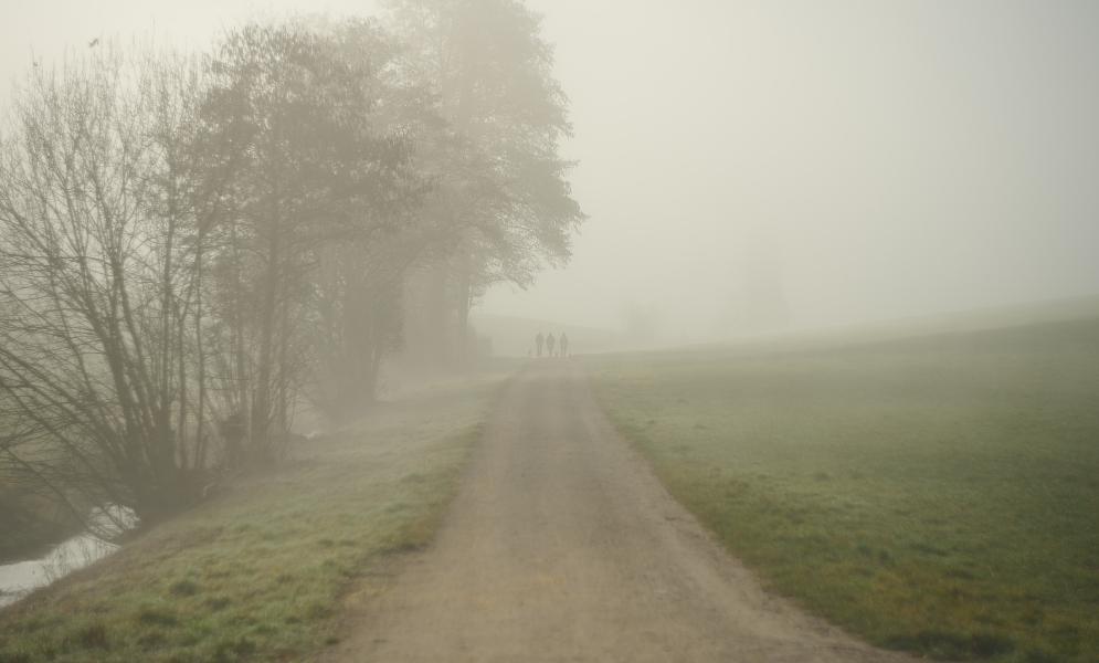 images/26-02-26_foggy_morning.jpg