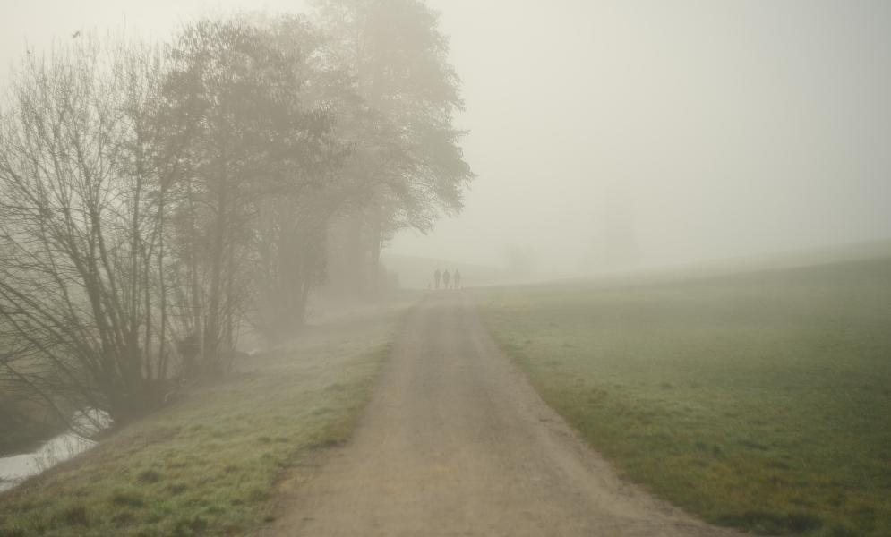images/26-02-26_foggy_morning.jpg