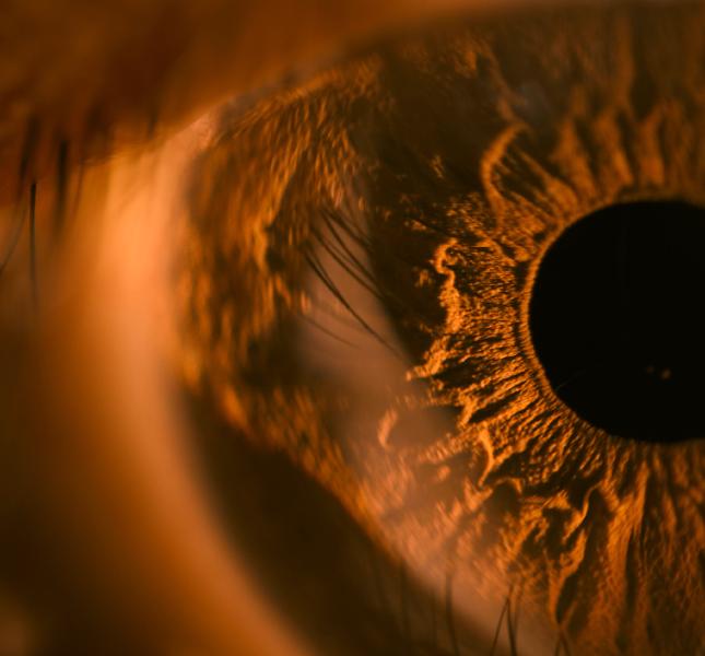 images/26-03-02_eye.jpg
