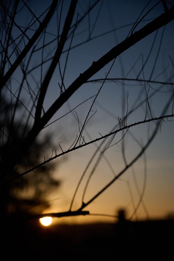 images/26-03-12_sunset.jpg
