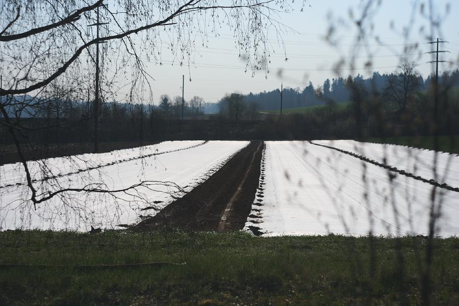 images/26-03-22_covered_field.jpg