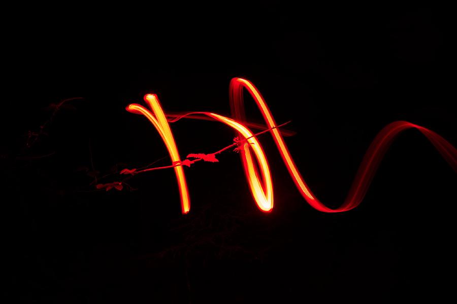 images/26-04-18_magic_branch.jpg
