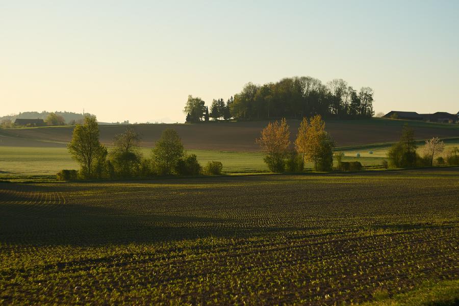 images/26-04-23_morning_landscape.jpg
