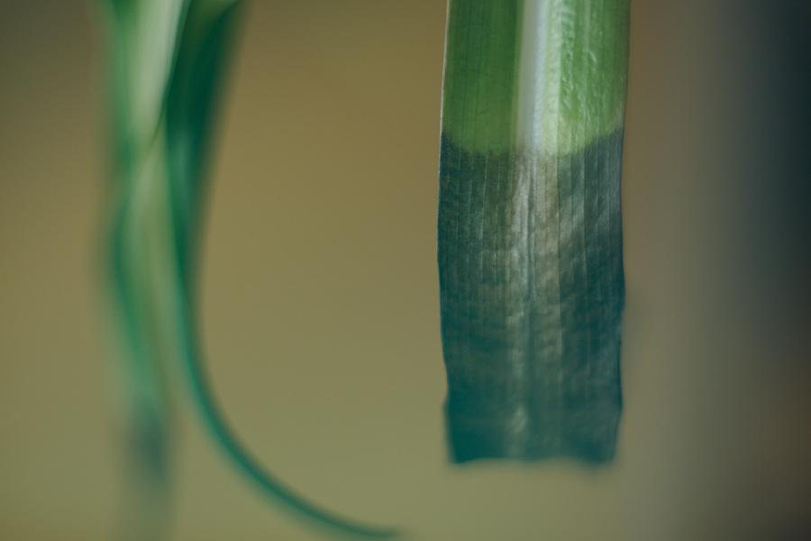 images/26-05-11_aging.jpg