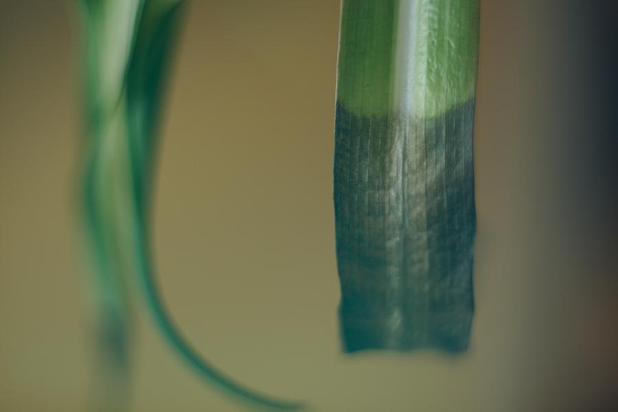 images/26-05-11_aging.jpg