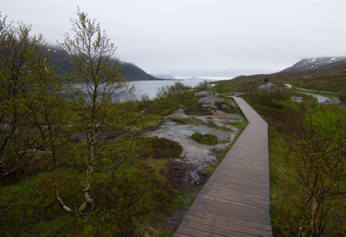 images/003-austnesfjorden_wooden_path.jpg