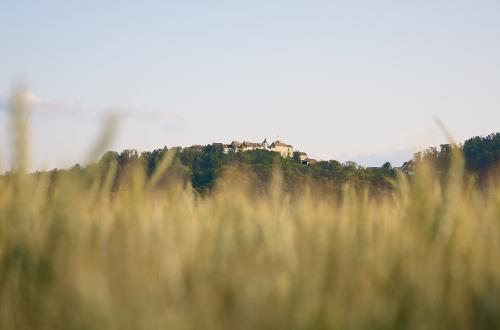 images/25-06-16_regensberg_at_sunset.jpg