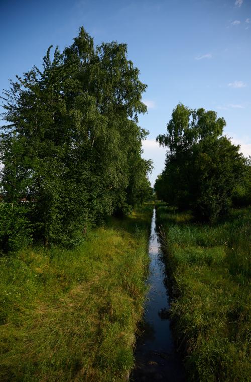 images/25-06-21_creek_between_trees.jpg