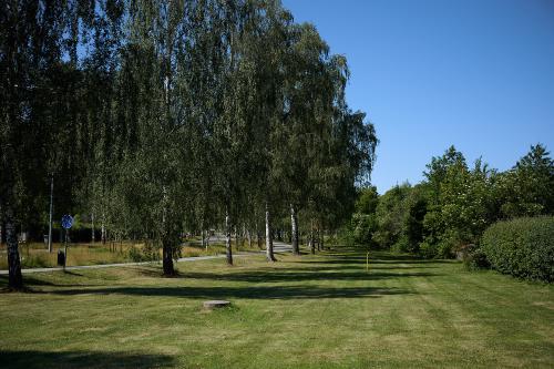 images/25-07-04_meadow.jpg