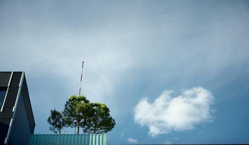 images/25-07-17_tree_cloud.jpg