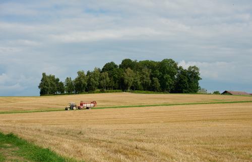 images/25-07-29_tractor_and_small_forest.jpg