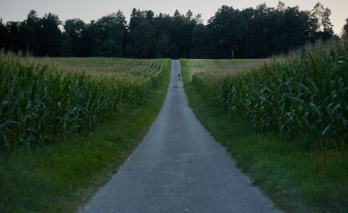 images/25-08-11_bike_on_a_path.jpg