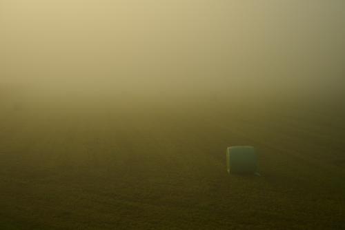 images/25-09-20_hay_cylinder_in_fog.jpg